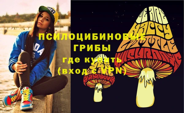 стафф Няндома